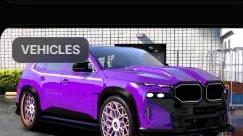 BMW XM on Forgi 2024 Debadged - OWL Frost