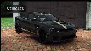 HD Charger Mh