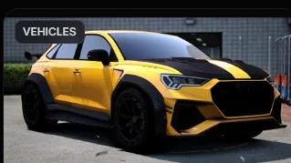 audi - rsq3 - mansory - evo